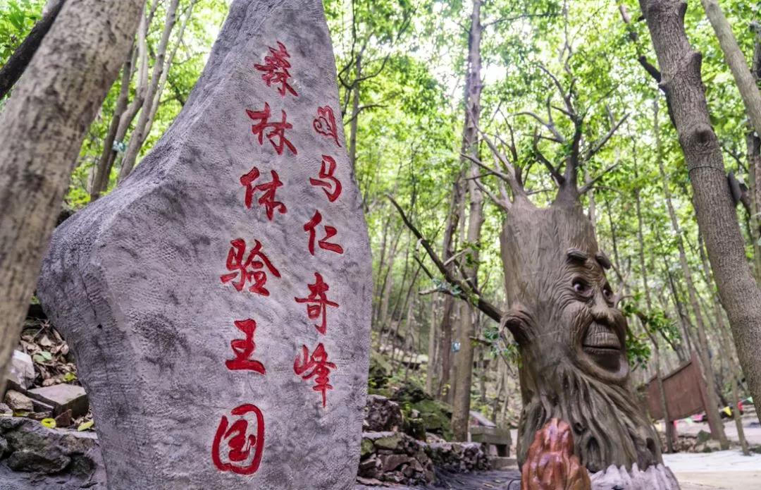 馬仁奇峰、大浦雙雙入選首批“安徽省職工療休養(yǎng)基地”！